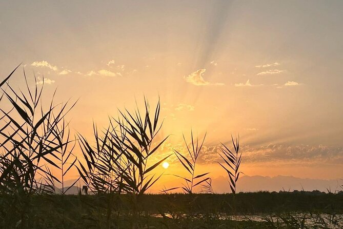 Skadar Lake Private Boat Tour with Wine Tasting - From Virpazar to Crmnica Channels: The Start That Sets the Mood