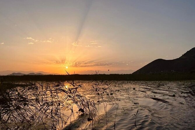 Skadar Lake Private Boat Tour with Wine Tasting - Skadar Lake National Park: Bird Reserve in Motion
