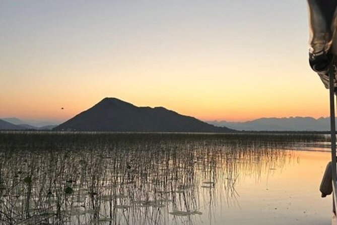 Skadar Lake Private Boat Tour with Wine Tasting - Kamenik and the Floating Plant Views: Where the Lake Feels Alive