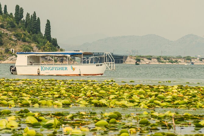 Skadar Lake Short Guided Tour: Discover the Montenegrin Alcatraz - Key highlights worth knowing