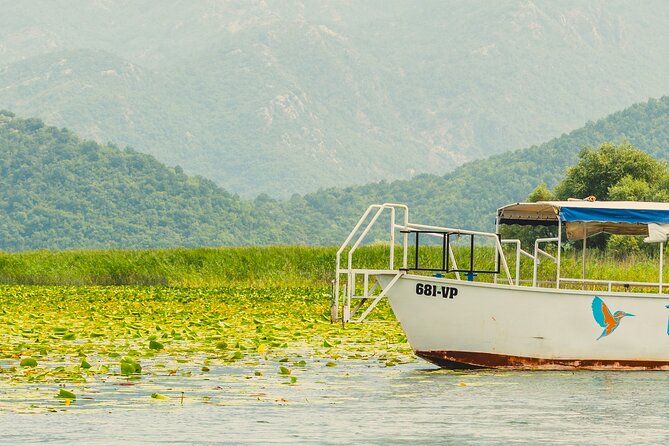 Skadar Lake Short Guided Tour: Discover the Montenegrin Alcatraz - Stop 3: The open-water swim pause inside Skadar Lake National Park