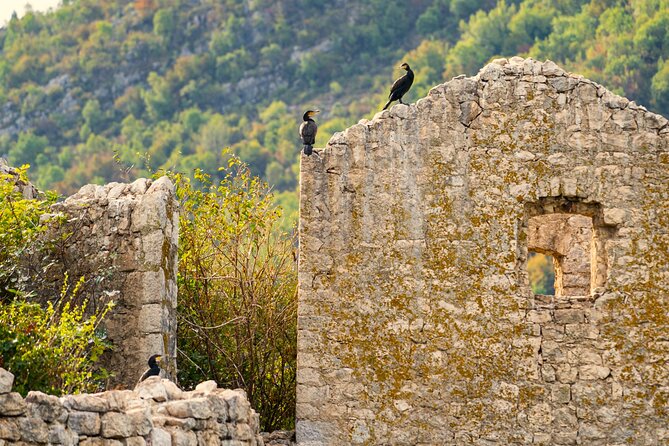 Skadar Lake Short Guided Tour: Discover the Montenegrin Alcatraz - Timing, small group size, and the weather reality