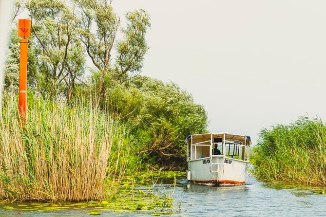 Skadar Lake Short Guided Tour: Discover the Montenegrin Alcatraz - Stop 1: Virpazar boat channel views, willows, and Mount Vranjina