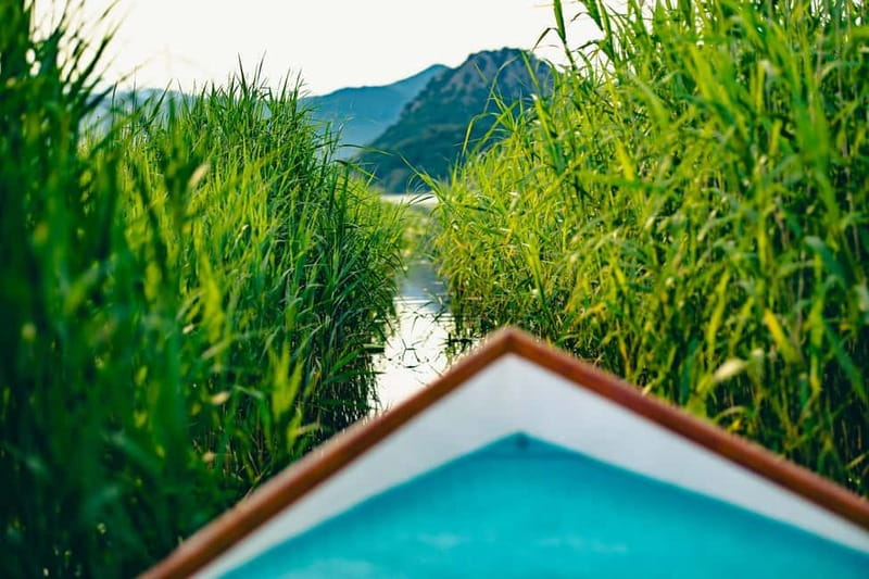 Skadar Lake Virpazar : Speed Boat Special ! - UNESCO-protected islands, plus the guide’s real-world storytelling
