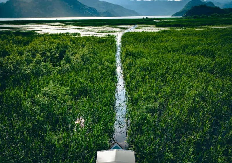 Skadar Lake Virpazar : Speed Boat Special ! - Birdwatching gear in your hands, not just advice on the dock