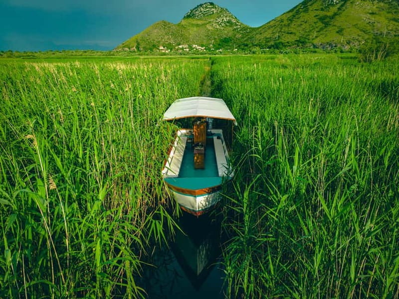 Skadar Lake Virpazar : Speed Boat Special ! - Price and value: $24 plus a park fee you should budget for