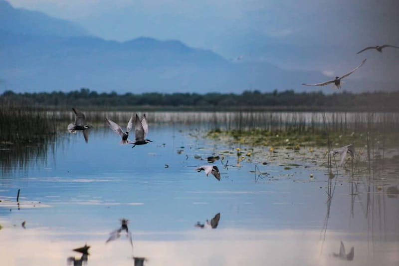 Stand Up Paddleboard on Skadar Lake - An Epic Adventure ! - Private group pacing in real life: who this tour suits best
