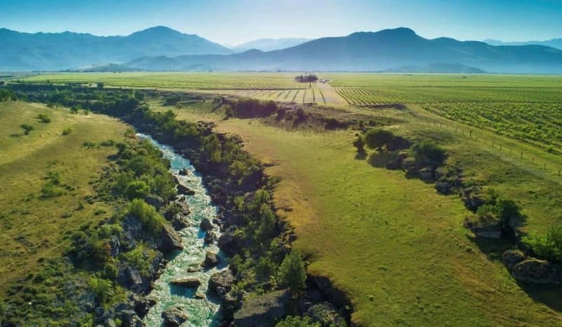 The largest winery in Montenegro: private tour & transport - Key things that make this Plantaže tour worth your time