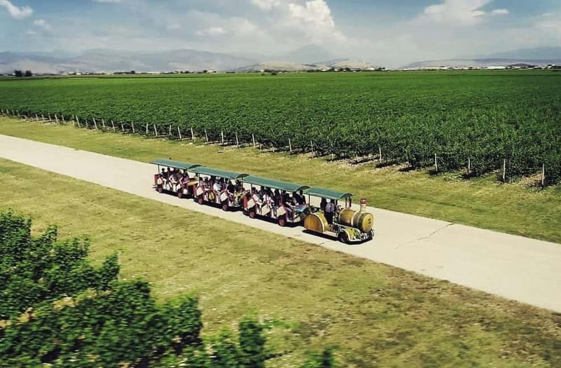 The largest winery in Montenegro: private tour & transport - Why Plantaže is the big deal near Podgorica