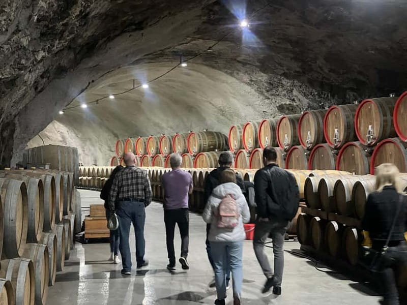 The largest winery in Montenegro: private tour & transport - The four-wine dégustation: how to taste with purpose