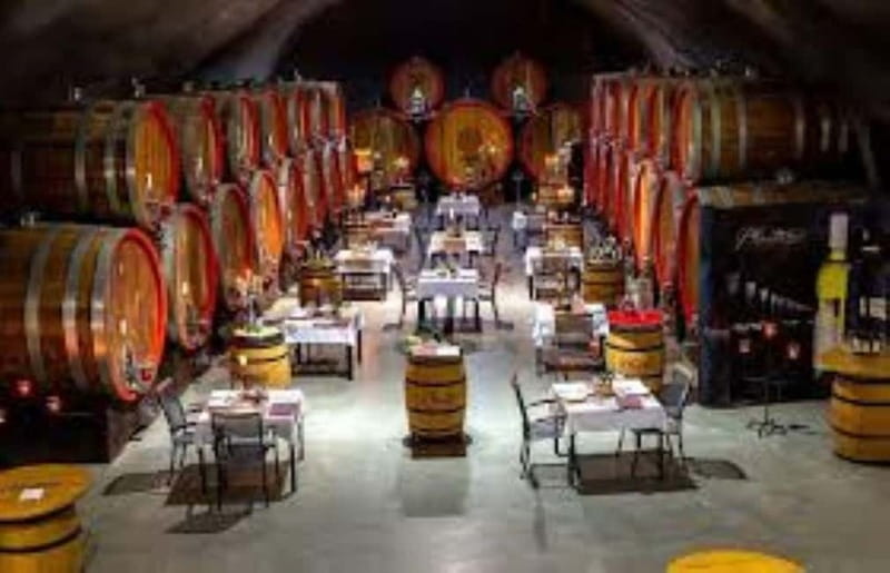 The largest winery in Montenegro: private tour & transport - Who this Plantaže private tour suits best