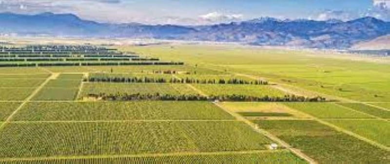 The largest winery in Montenegro: private tour & transport - The value of private transport from Podgorica (and what it changes)