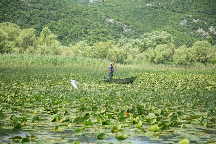 The Wild Route – Skadar’s Hidden Amazon - The Service Style: Private Group, Guide-Driven, Relaxed Pace