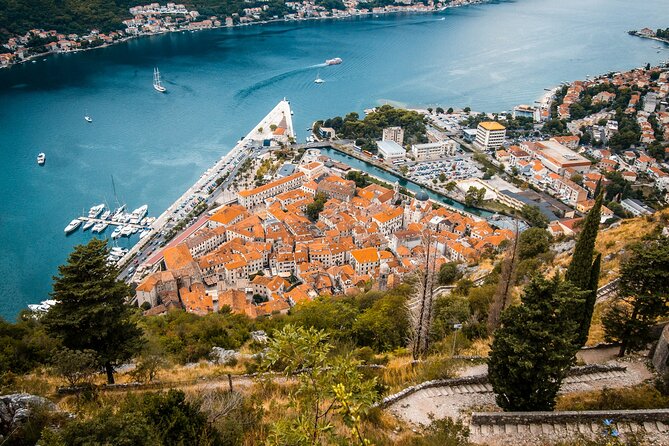 Topolino Guided City Tour by E Car Kotor Tivat - Value and price: is $66.28 per person worth it?