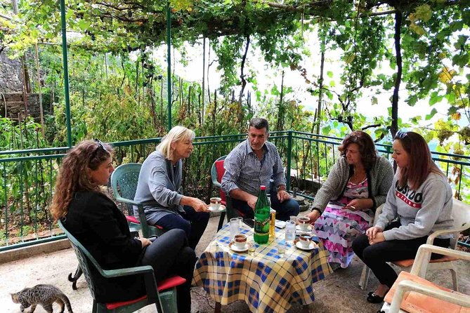 Unique gastro experience with locals in high hills above Budva! - Quick Reasons This Hilltop Day Feels Special