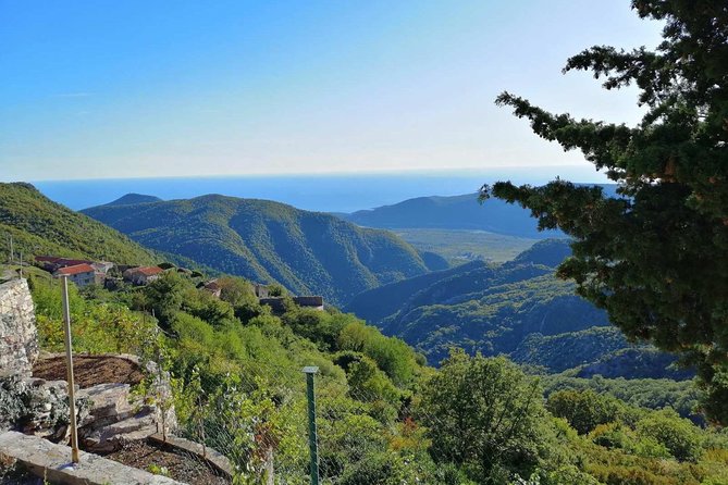 Unique gastro experience with locals in high hills above Budva! - How the Day Starts in Budva, Then Quickly Changes Tone