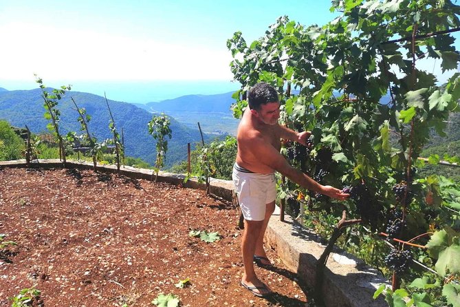 Unique gastro experience with locals in high hills above Budva! - Stanjevici Monastery: XIV-Century Faith on Lovćen’s Slopes