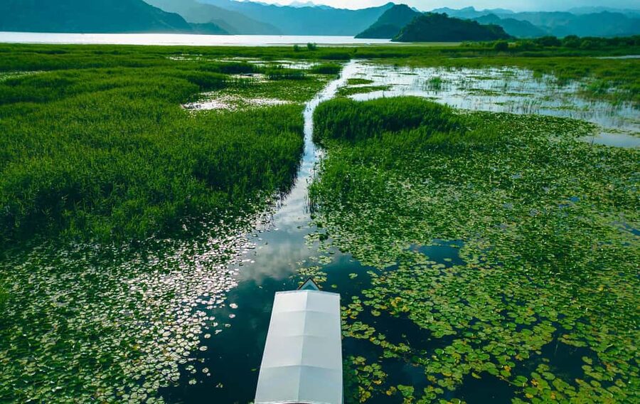 Virpazar: Private & Group Guided Lake Skadar Boat Tour - On board: welcome drink, soft drinks, wine, and birdwatching support