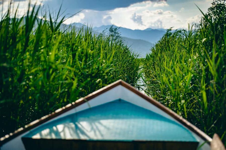 Virpazar: Private & Group Guided Lake Skadar Boat Tour - Price and value: $23 plus the National Park ticket