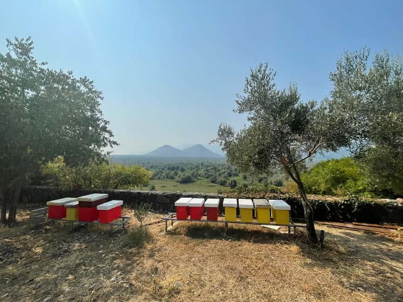 Virpazar: Skadar Lake by Boat and Kom Monastery Guided Tour - The Lesendro and Vranjina Scenery Stop: History Without the Classroom