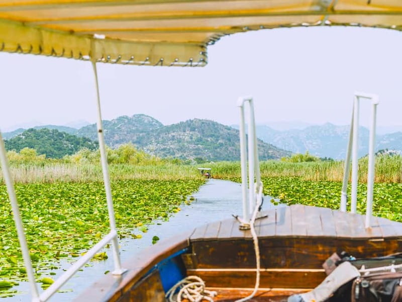 Virpazar: Skadar Lake National Park Boat Tour & Karuč Visit - Sailing out of Virpazar’s three-bridge harbor