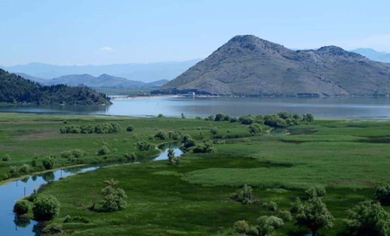 Virpazar Skadar Lake National Park Guided Boat Tour - Price and what you actually get for $26.41