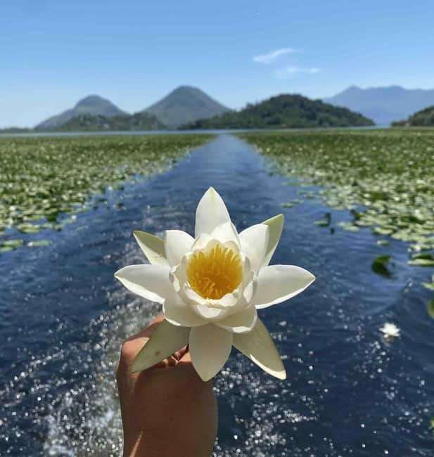 Virpazar Skadar Lake National Park Guided Boat Tour - The Lesendro Fortress stop: Petar II Petrovic Njegos and a history you can actually see