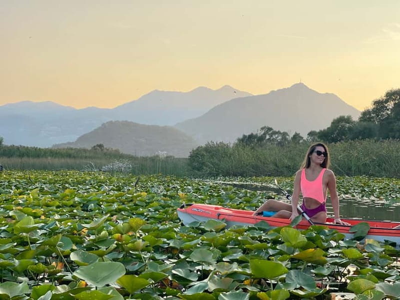 Virpazar: Skadar Lake Nature Kayak Tour - Price, the national park fee, and what your $8 really buys