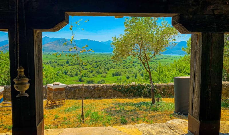 Virpazar: Skadar Lake PRIVATE Boat Tour to KOM MONASTERY - Liponjak swimming stop: your 1-hour reset on the lake