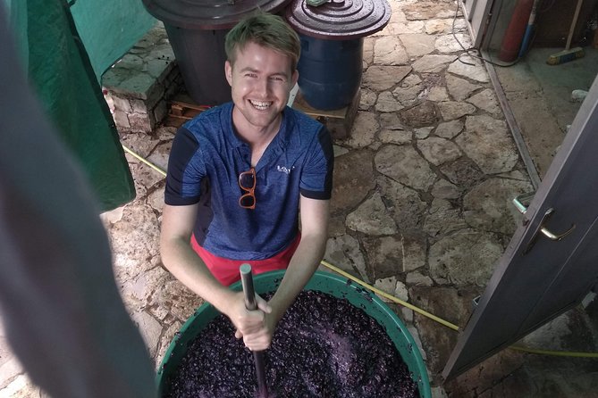 Wine tasting and magical tour from Kotor, Budva, Tivat (Lovcen,Skadar lake) - Wine Tasting Setup: How to Pace Yourself So You Remember It
